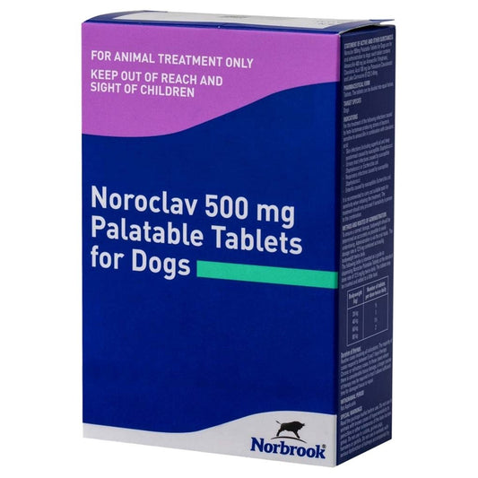 Noroclav 500mg Palatable Tablets for Dogs 100s