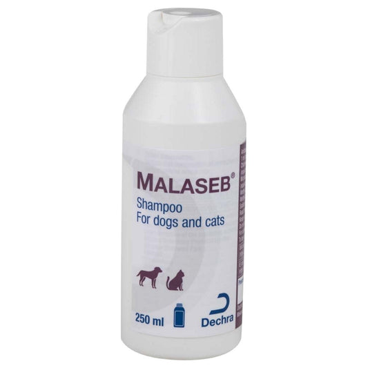 Malaseb Shampoo 250ml