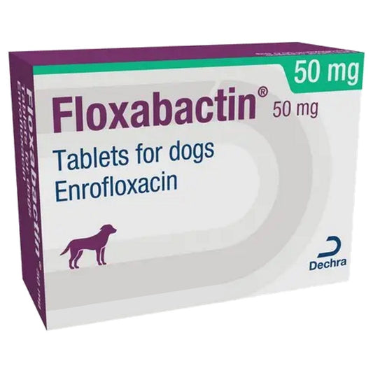 Floxabactin 50mg Tablets for Dogs 100s