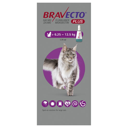 Bravecto Plus 500mg Spot-On Solution for Large Cats