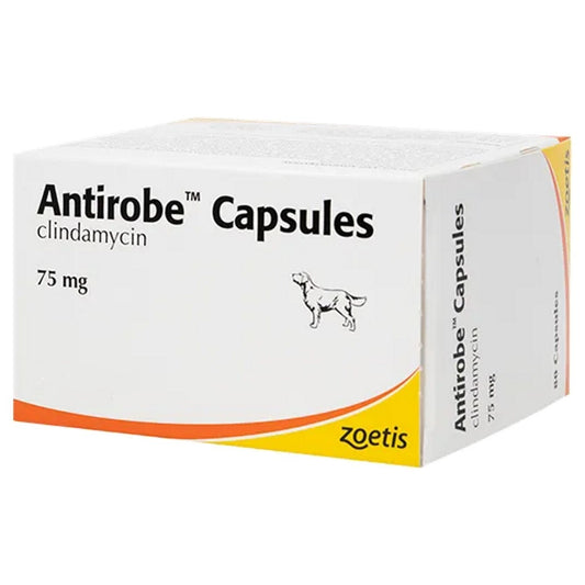 Antirobe 75mg Capsules for Dogs 80 caps