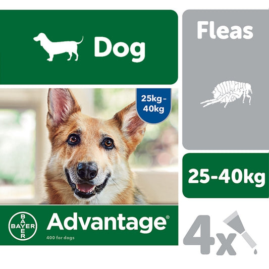 Advantage 400 Flea Treatment for Dogs 4 Pipettes