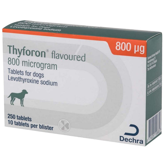 Thyforon 800mcg Flavoured Tablets for Dogs 250s