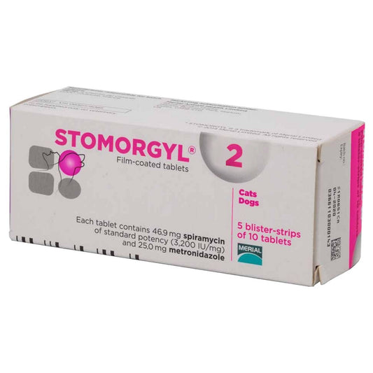 Stomorgyl Tablets 2 50s