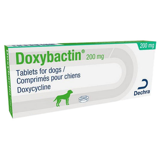 Doxybactin 200mg Tablets for Dogs 10s