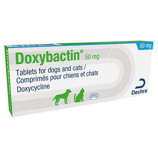 Doxybactin 50mg Tablets for Cats and Dogs 10s